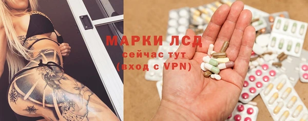 крисы Ельня