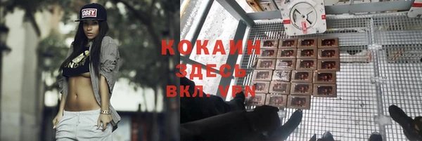 крисы Ельня