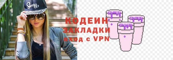 крисы Ельня
