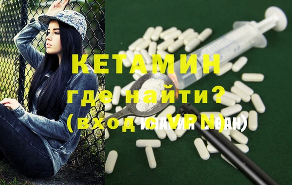 крисы Ельня