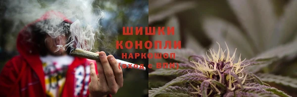 МДПВ Елизово