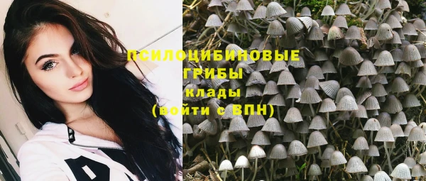 крисы Ельня