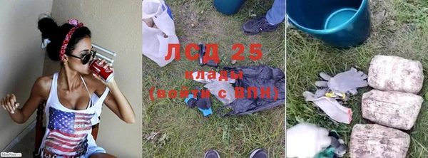 крисы Ельня