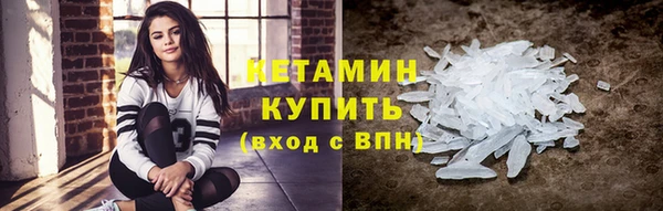 крисы Ельня