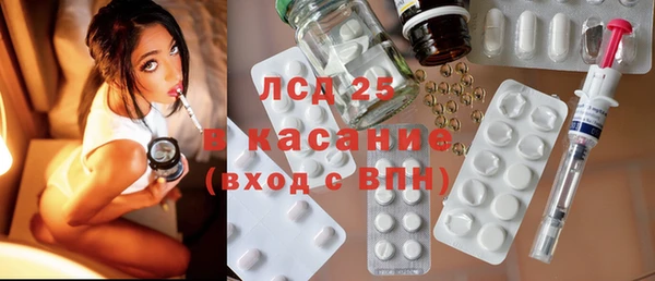 крисы Ельня