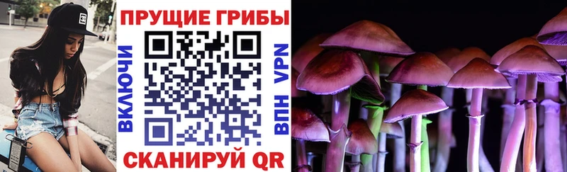 Галлюциногенные грибы Magic Shrooms  Купить закладки  Тулун 